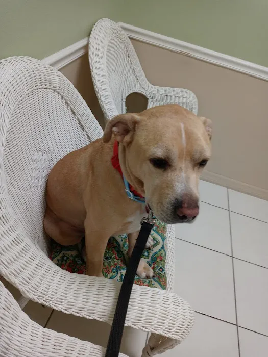 New Hope Pet Hospital 3