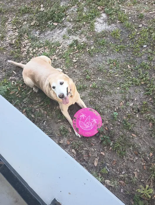 New Hope Pet Hospital 10
