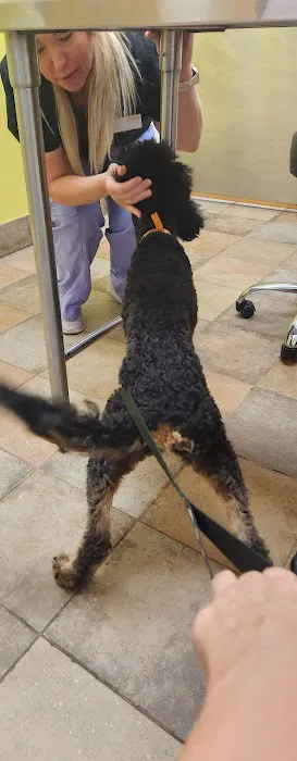 Banfield Pet Hospital 5