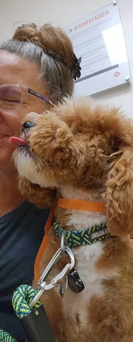 Banfield Pet Hospital 6