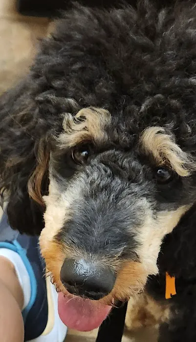 Banfield Pet Hospital 9