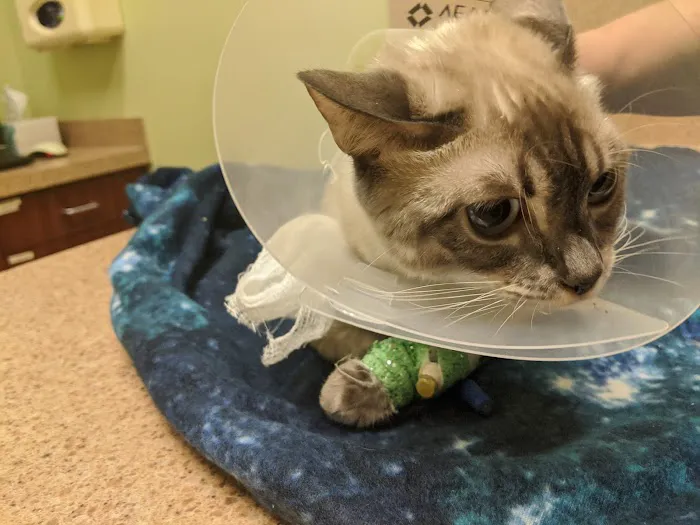 Veterinary Emergency Clinic 12