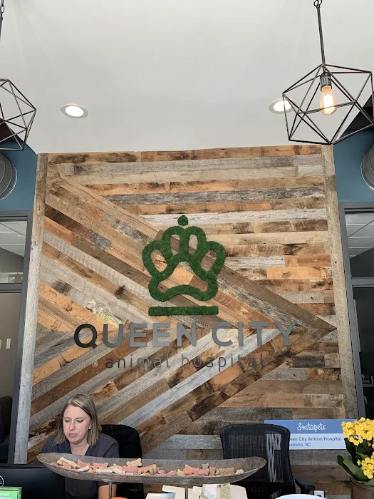 Queen City Animal Hospital 4