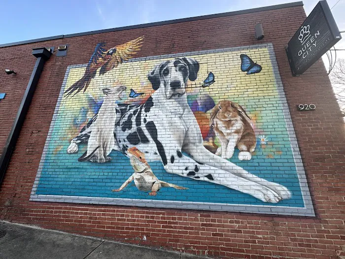 Queen City Animal Hospital 6