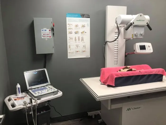 Queen City Animal Hospital 3