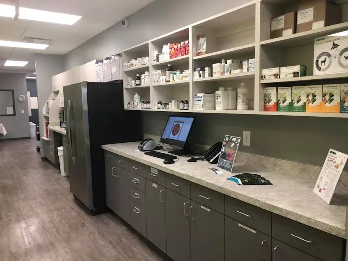Queen City Animal Hospital 10