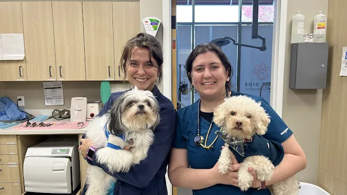 East Side Animal Hospital 1