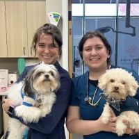East Side Animal Hospital ico