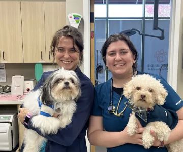 East Side Animal Hospital