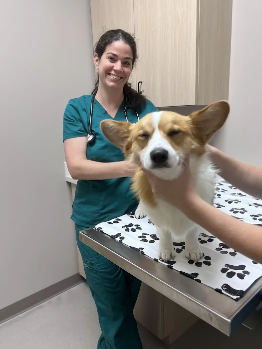 East Side Animal Hospital 6