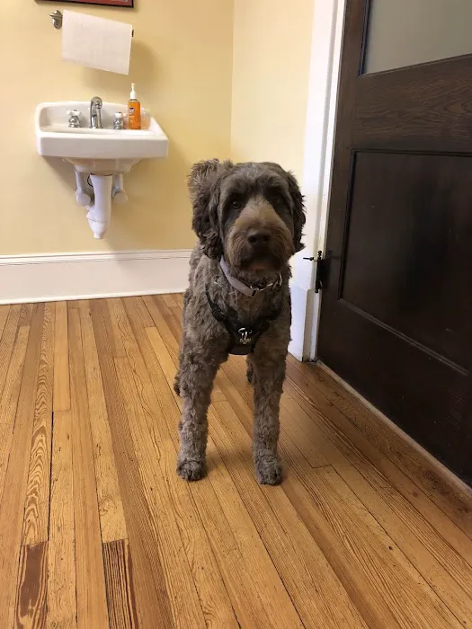 Dilworth Animal Hospital 9