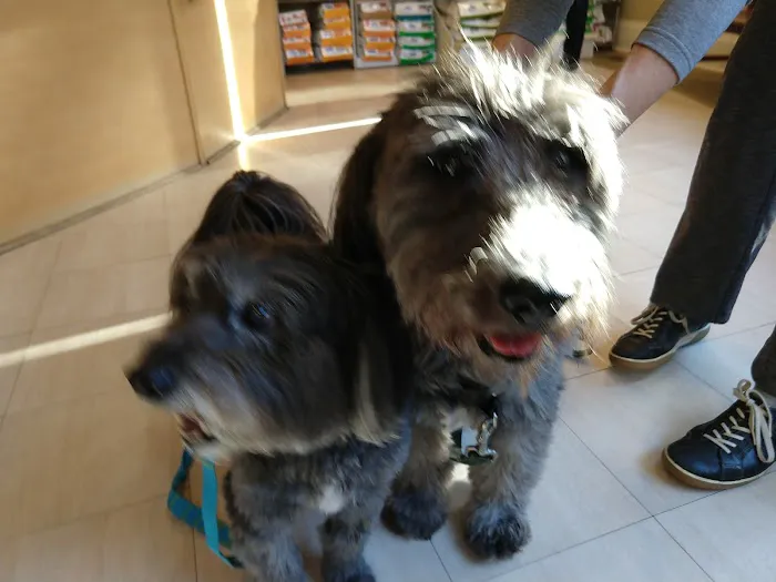 Dilworth Animal Hospital 3