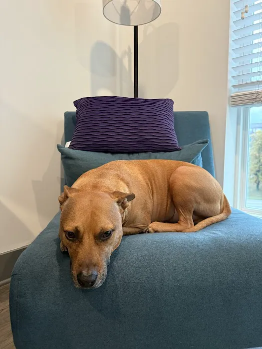 CityVet | Charlotte Uptown 2