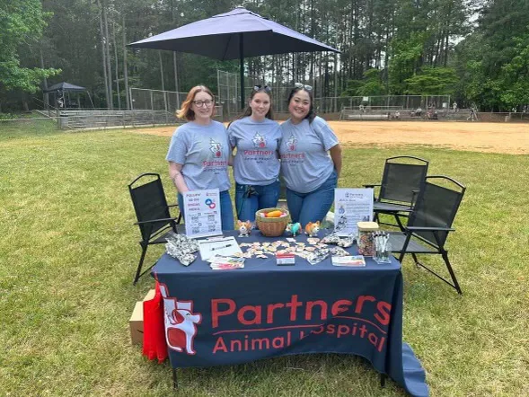 Partners Animal Hospital NoDa 8