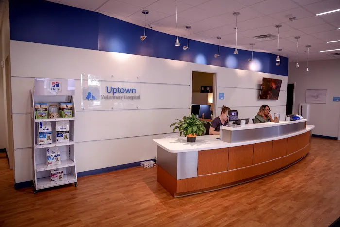 Uptown Veterinary Hospital 5