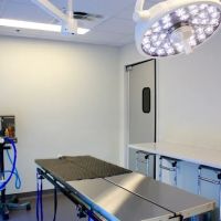 Uptown Veterinary Hospital ico