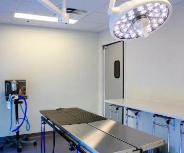 Uptown Veterinary Hospital