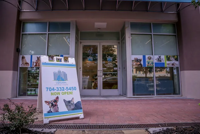Uptown Veterinary Hospital 9
