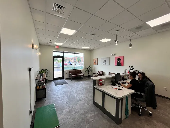 Crown Town Animal Hospital 2