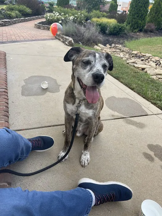 Crown Town Animal Hospital 3