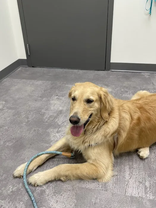 Crown Town Animal Hospital 7