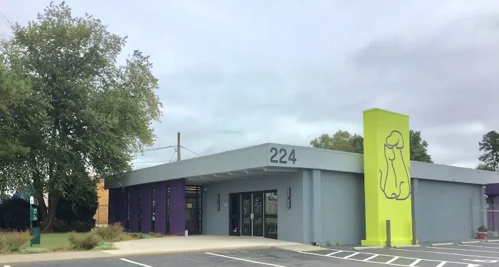 Stand For Animals Veterinary Clinic 5