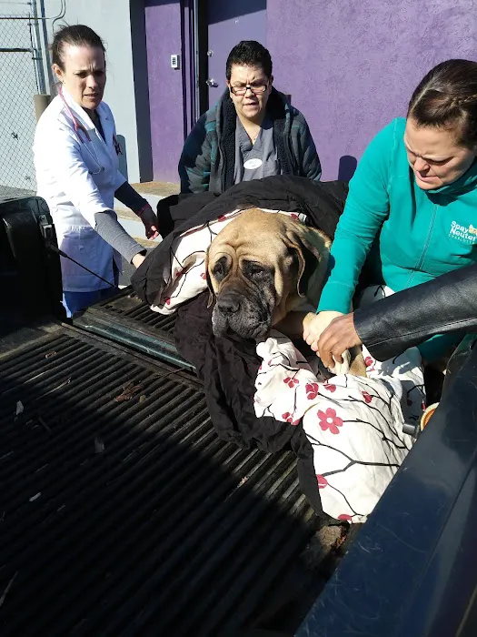 Stand For Animals Veterinary Clinic 9