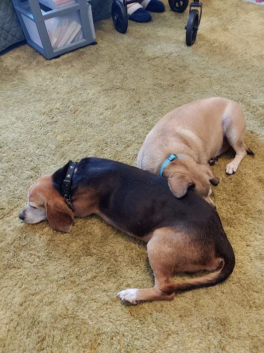 Hickory Grove Animal Hospital 3