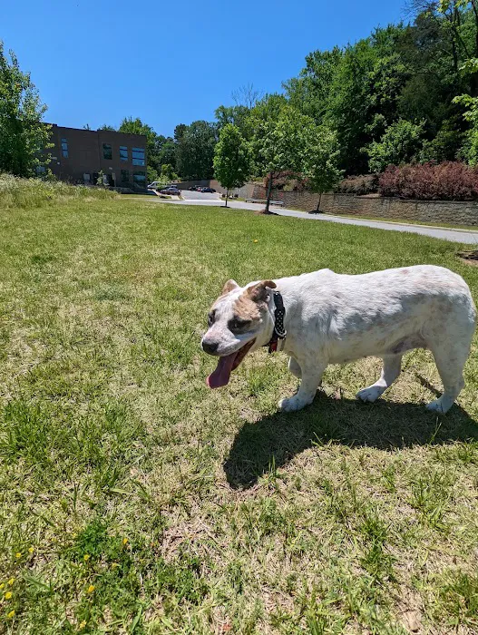 Hickory Grove Animal Hospital 9