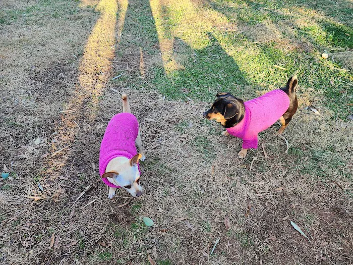 Hickory Grove Animal Hospital 10