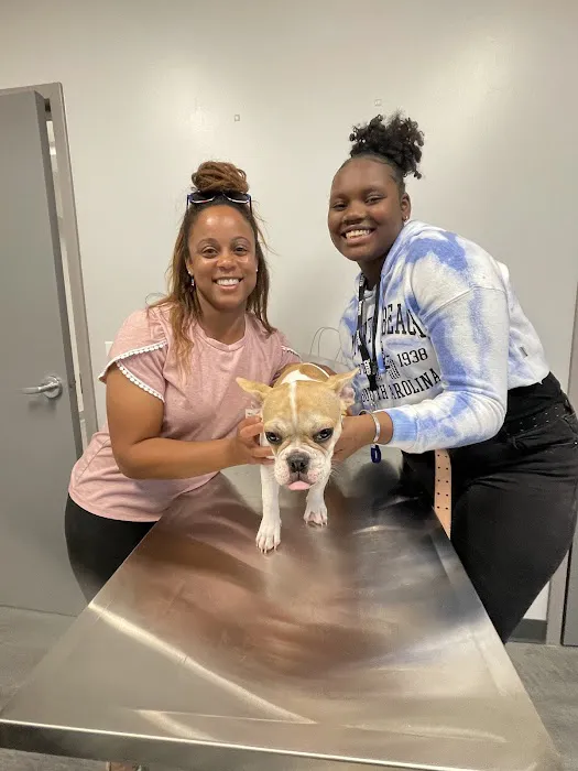 Ark Veterinary Services PLLC 6