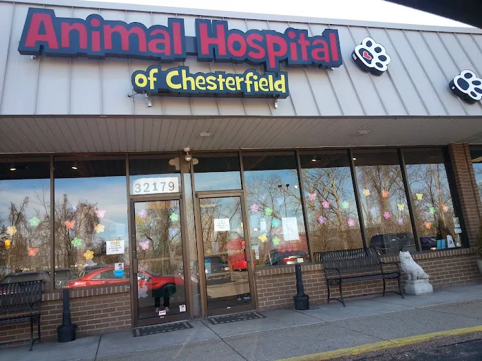 Animal Hospital of Chesterfield 2