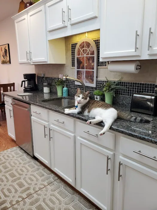 Macomb Center Veterinary Hospital 2