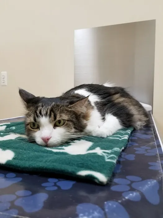 Macomb Center Veterinary Hospital 1