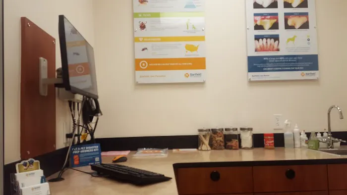 Banfield Pet Hospital 12