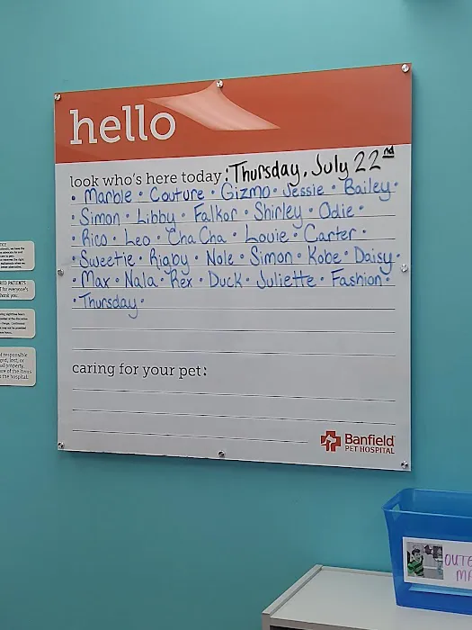 Banfield Pet Hospital 12