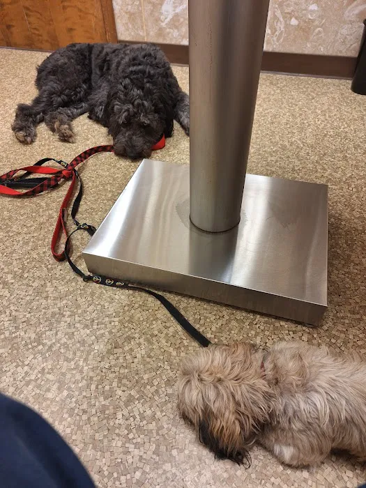 Humane Society of Macomb Animal Clinic 5