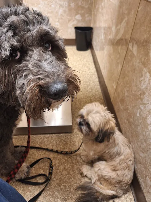 Humane Society of Macomb Animal Clinic 4