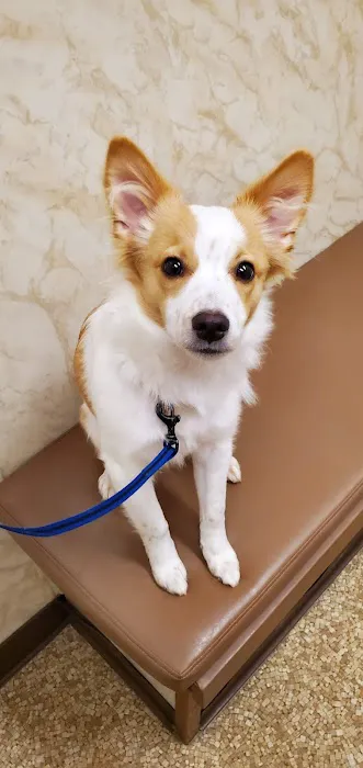Humane Society of Macomb Animal Clinic 7