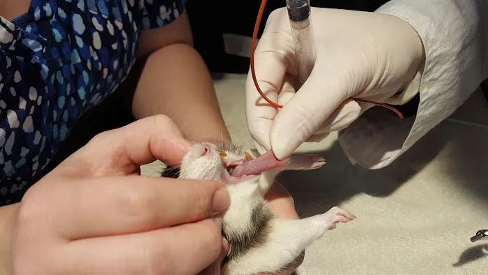 Ark Veterinary Hospital 3