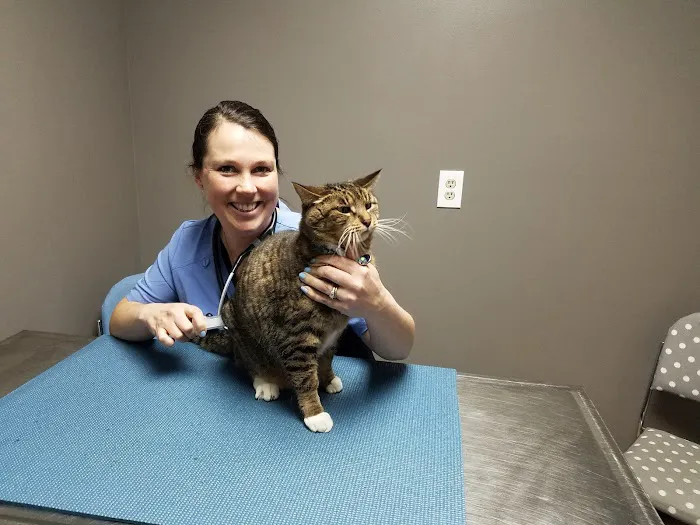 Ark Veterinary Hospital 10