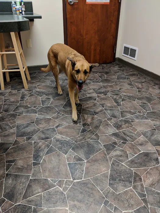 Serenity Animal Hospital & Pet Resort 5