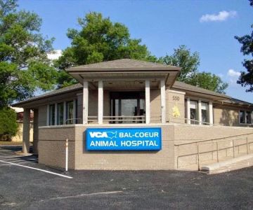 VCA Bal-Coeur Animal Hospital