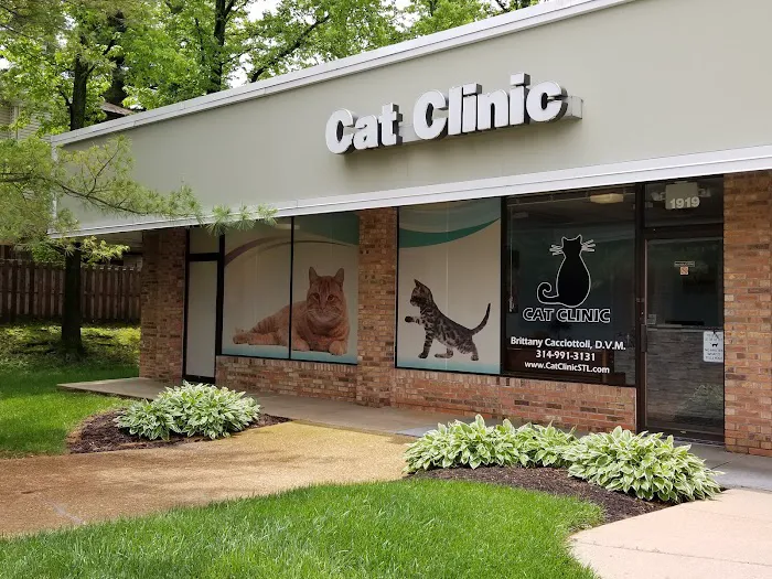 Cat Clinic 5