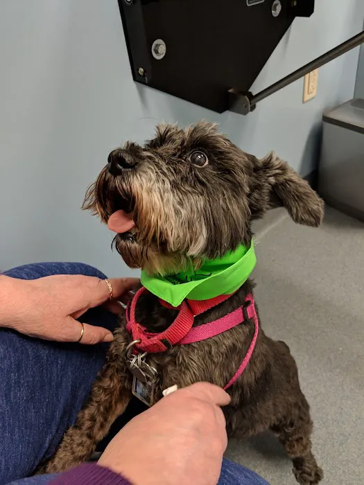Animal Medical Center Mid-America Maryland Heights 12
