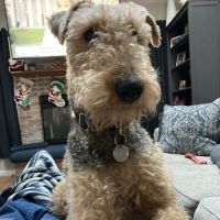 Veterinary Group of Chesterfield ico