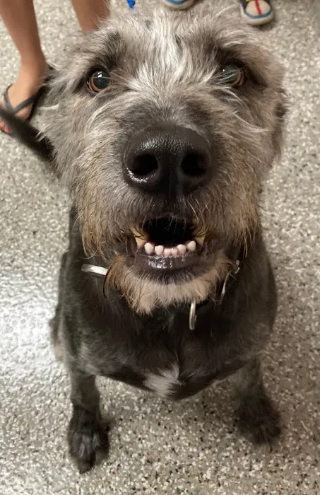 Kehrs Mill Veterinary Care 12