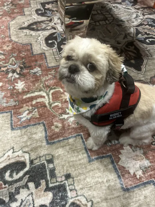 Ark Pet Center 12