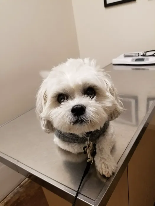 Ark Pet Center 12