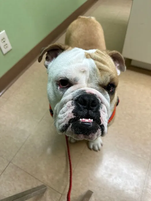 Tri-City Animal & Bird Clinic 12
